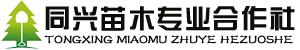��ʩ�����̻�