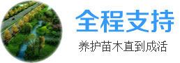 绿化服务更省心