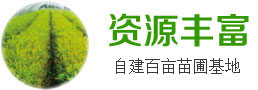绿化苗木资源丰富